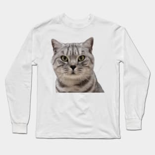 Silver Tabby Cat Long Sleeve T-Shirt